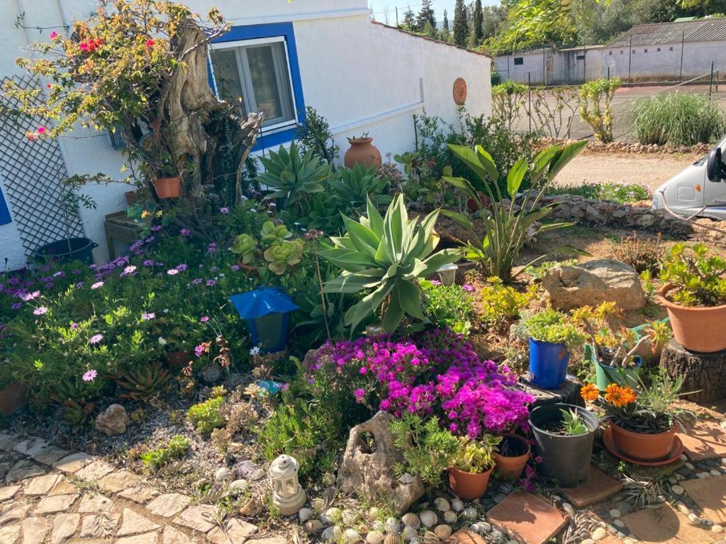 הוילה אלבופיירה Casa Aleg מראה חיצוני תמונה