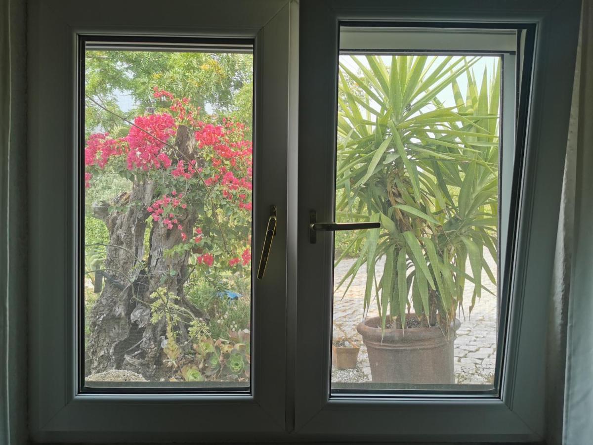 הוילה אלבופיירה Casa Aleg מראה חיצוני תמונה